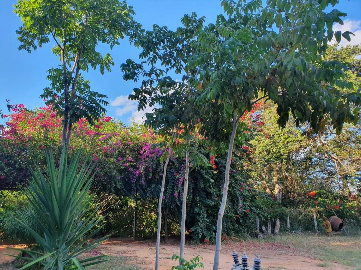 Pousada Do Rio Corrente Alvorada do Norte Zewnętrze zdjęcie
